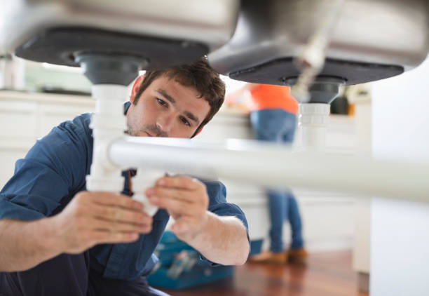 Best Toilet Repair Services  in Kenton, TN